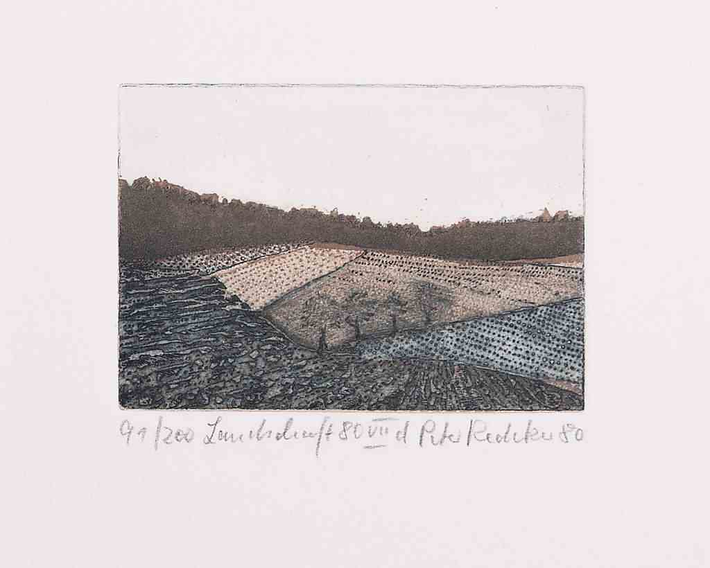 Landschaft 80